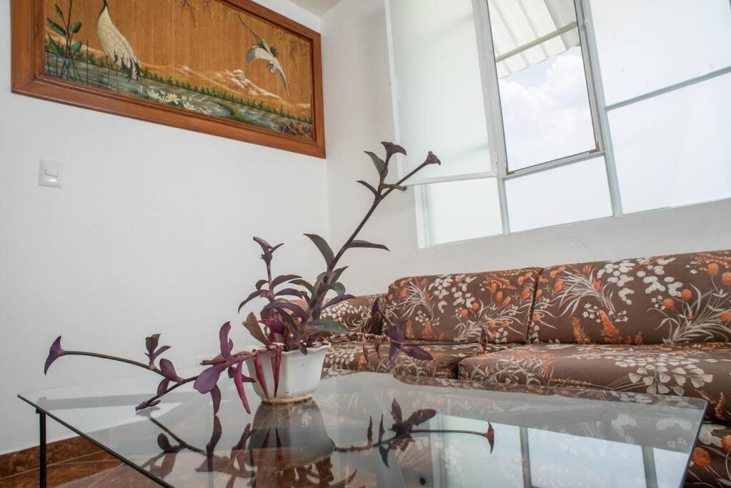 Casa Completa En El Centro De San Miguel De Allende Eksteriør billede